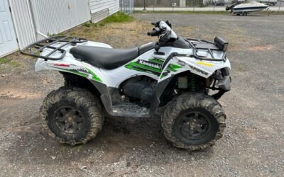 2018 Kawasaki Brute Force
